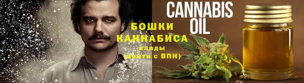 соль ск Богданович