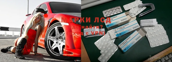 соль ск Богданович